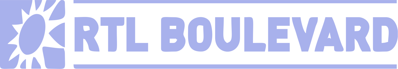Partner 4